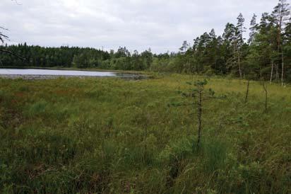 20. Myr Naturvärdesklass: 3, påtagligt naturvärde Area: 1,4 hektar Biotopvärde: visst Artvärde: visst Naturvårdsarter: padda Bufo bufo, vanlig groda Rana temporaria, vitag Rhynchospora alba,