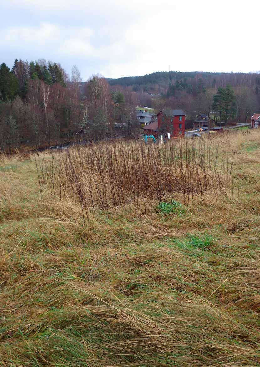 Arkeologisk utreding vid Prästgården i Bollebygd