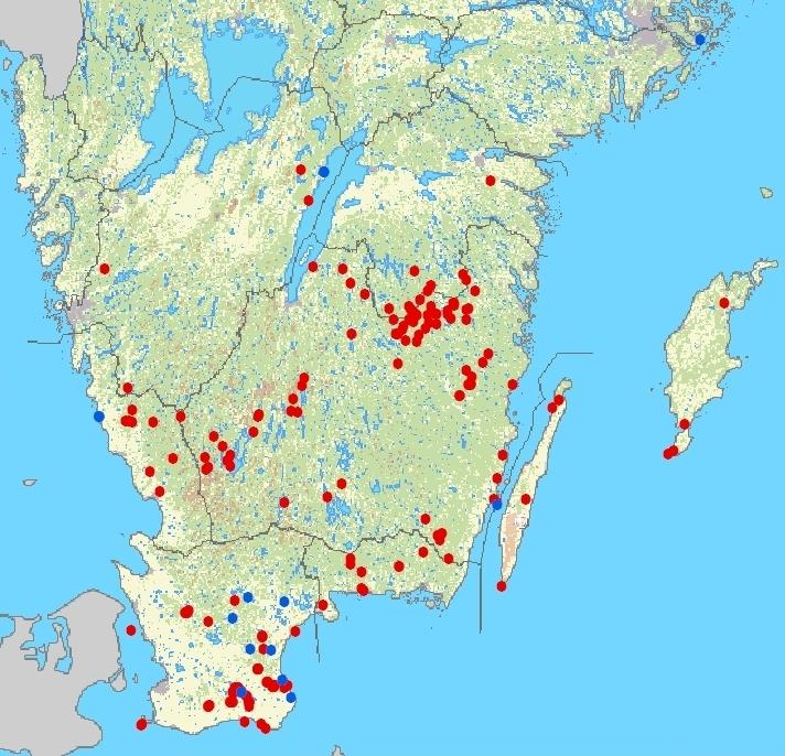 Röda prickar = sommarfynd Blåa prickar = vinterfynd