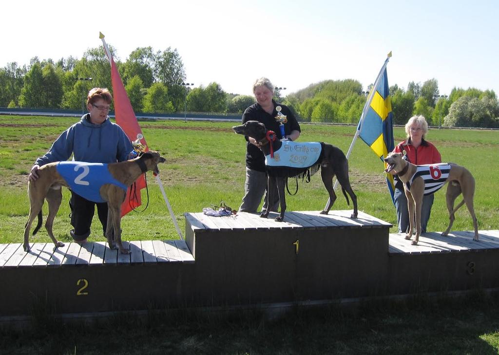 Denna dag var det också semifinaler i Easter Rose Bowl, ett tiklopp med semifinaler på sprint, och finalen på medeldistans, detta innebär att vinnaren är en allround tik.