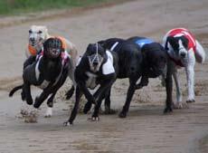 33, Rikke Bankov, Danmark, tvåa Captain Kidd, 18.68, Lars Marklund, SkeHK. Lopp 2. Tik Kom Sammen. Box 6 Hjärta, 1 Talisker Goldie, 3 Zonda, 4 Monroe Flyer, 2 Scroggy Fly, 5 Super Rose.