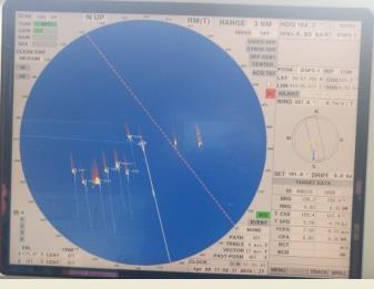 Figur 10. Sökmönster på NORDIC STANI:s radarbild. NORDIC STANI är i centrum av cirkeln. Bild: Nordic Hamburg Shipmanagement (HK) Ltd. Figur 11.