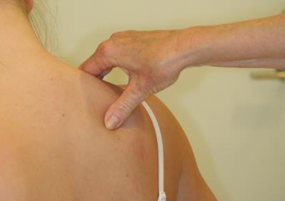 Levator scapula klin us spec 140603.pdf 3.
