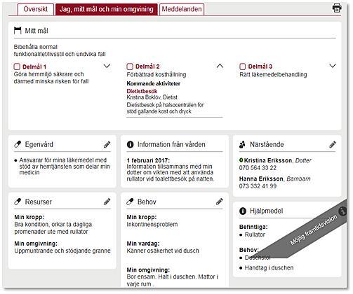 Sammanhållen plan Planering, överblick och stöd för koordinerade insatser Kort och lång lins