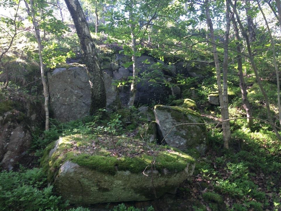 Sprickfrekvens och spricksystem varierar inom området, lokalt nedanför vissa branta bergsslänter ligger tidigare utfallna block.