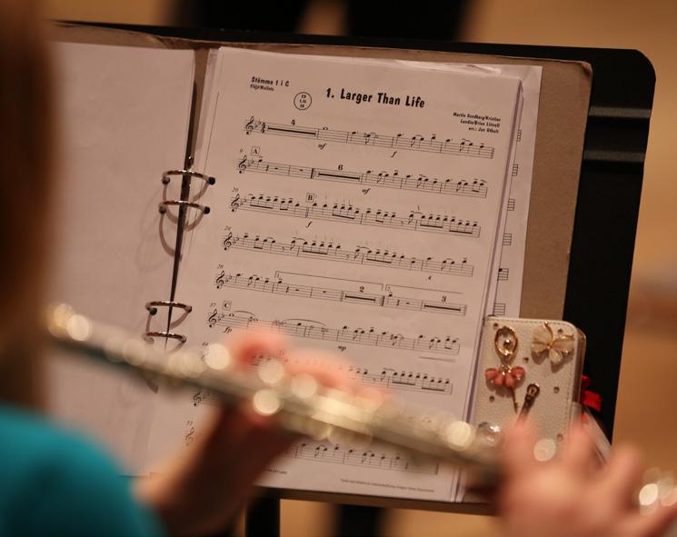 Blockflöjt Blockflöjten är inte bara ett lättspelat instrument som man gärna provar först, utan på blockflöjten kan du också utveckla din skicklighet precis som på något annat instrument.