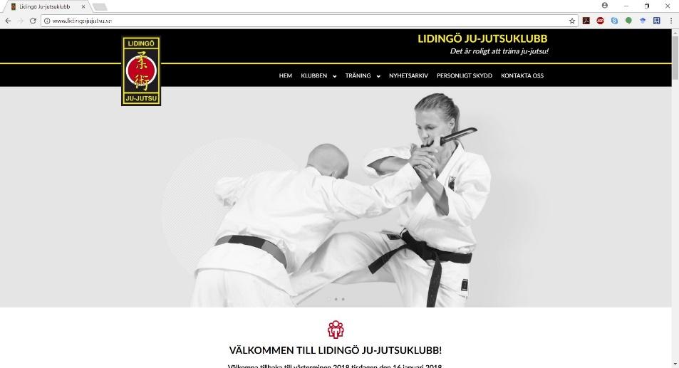 leksandsjujutsu.