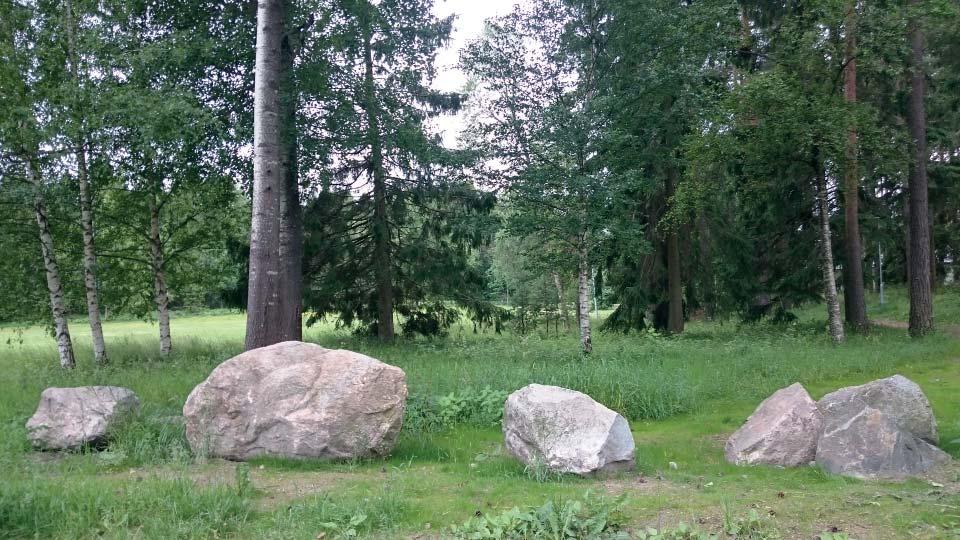 Delar av dungen