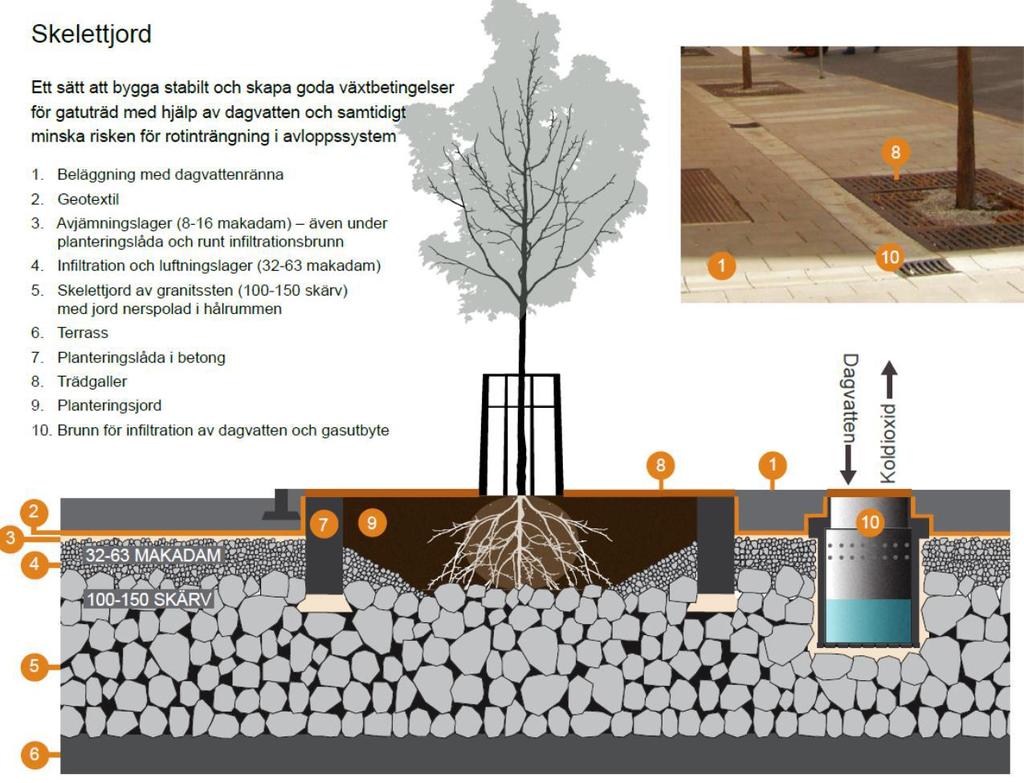 Figur 19. Schematisk illustration över plantering av träd i skelettjord. Källa: Stockholms Stad. 8.