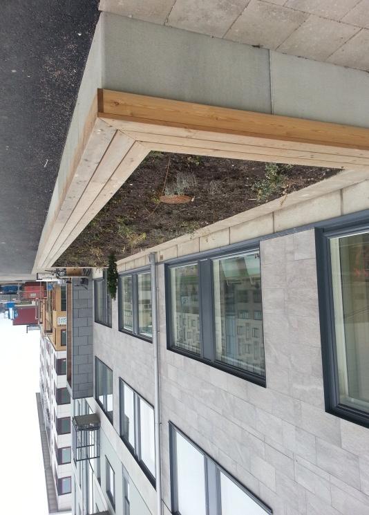 23 (46) För att minska behovet av fördröjningsmagasin kan en rad lokala åtgärder göras. Takvattnet kan exempelvis fördröjas via att Rain Gardens anläggs, se figur 16.