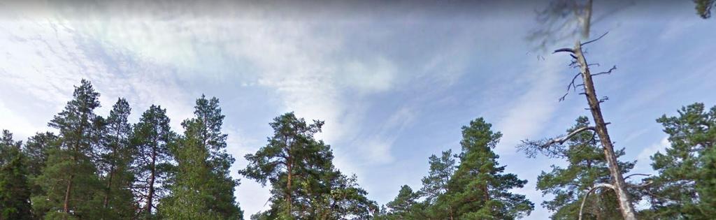 Dagvattenutredning för detaljplan, Engelsberg 14, Salems
