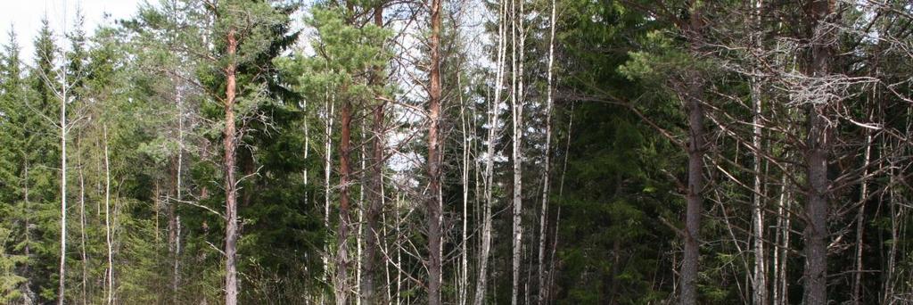 5.2 Översiktliga planer I den antagna (26 augusti 2013) översiktsplanen för Ludvika kommun ÖP 2030 är planområdet redovisat för gruvverksamhet.