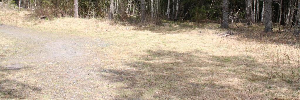 Blötberget är ett av de områden som reserverats för att kunna förberedas för framtida återöppning och utvidgning av gruvor. 5.