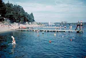 de senaste åren. I övriga delar av skärgården syns inte en lika tydlig förändring.