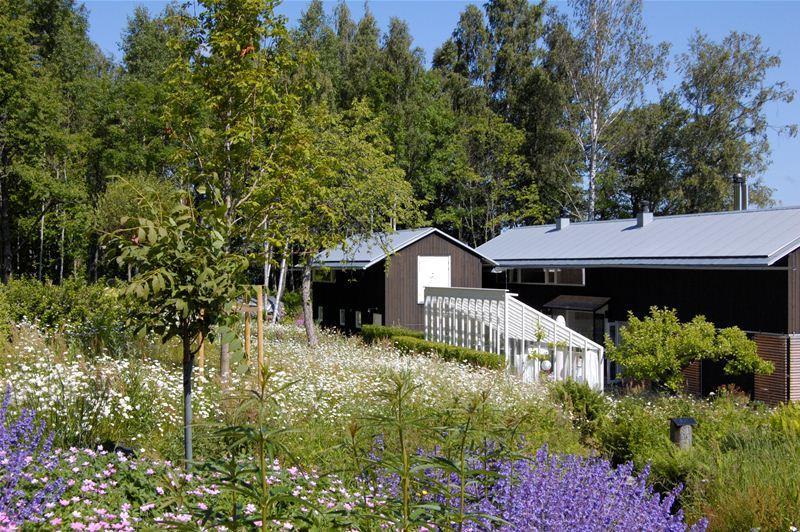 -0-, Rev -0- Projektnummer.. Ängsmark Ängsvegetation kan användas i flera olika miljöer, i allt från torra branta slänter till fuktiga flacka ytor.