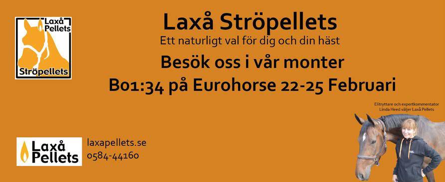 Exempel 1: Sned sits och låst hand En dressyrryttare med en 9-årig häst på medelsvår nivå hade problem med att hästen hade svårt att arbeta i rätt form, ville hellre höja huvudet och stressa iväg.