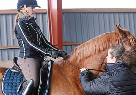 Ryttaren blir då inte lika flexibel i sin kontakt. Rätt Rätt sits: Om du vrider om handen så att tummarna är överst, så aktiveras ryggmuskulaturen mellan skulderbladen.