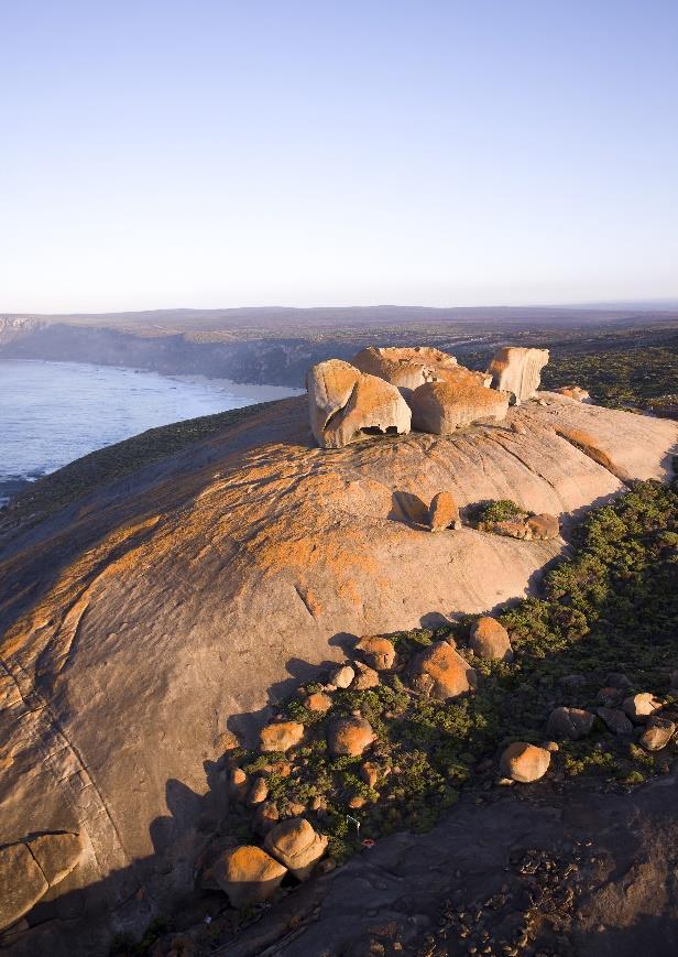 Australien kust till kust - 22 dagar Kombinera storstad med unika naturupplevelser Australien är ett enormt land - ja, en hel kontinent!