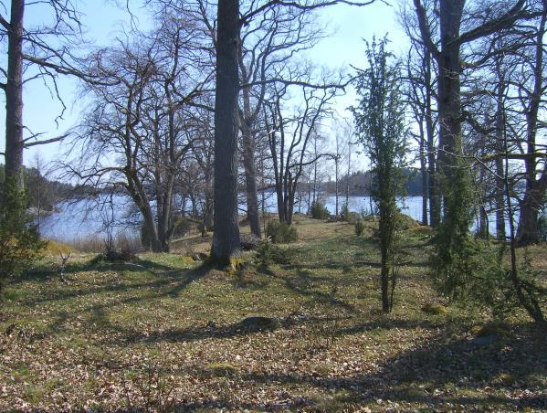 ADOXA Naturvård org.nr.