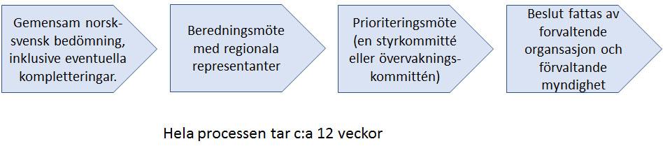 Hur sker besluts-och urvalsprocessen? När ansökan har kommit in: Hur godkänns ditt projekt?