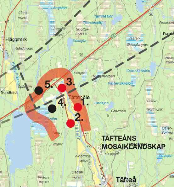 processer som meandring sker i vattendraget. I Figur 14 beskrivs områdets känslighet och potential.