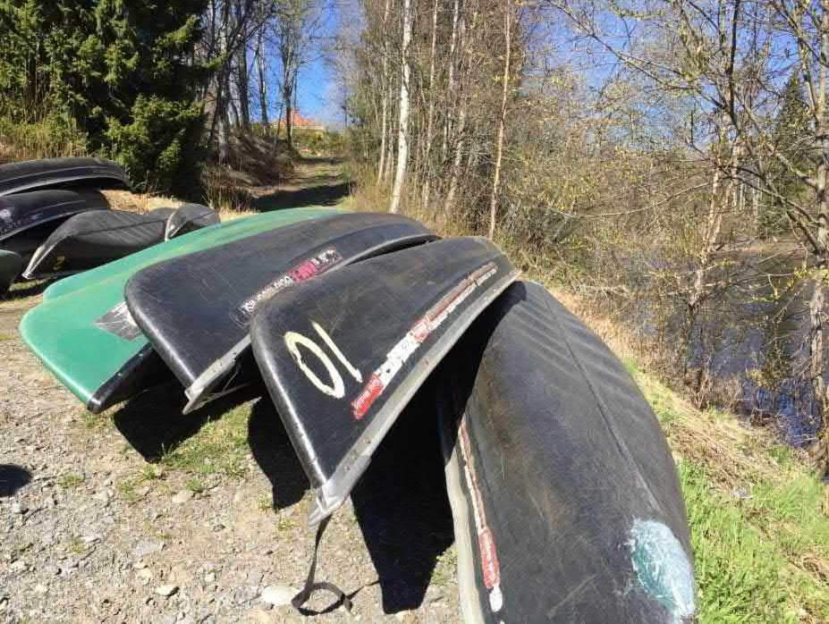 Sävaråns övre del finns bland annat öring och harr men även lax och havsvandrande öring, medan nedre delarna möjliggör fiske av gädda, abborre och lake.
