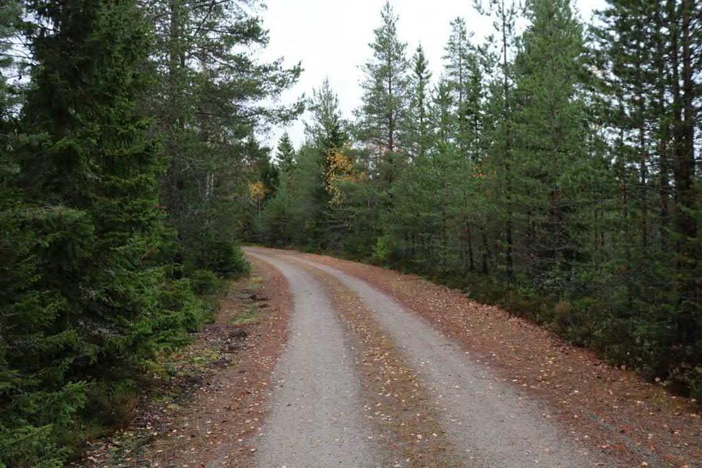till Täfteå. Längs vägsträckningen finns milstenar stenvalvsbroar, vägbankar och andra väghistoriska lämningar.