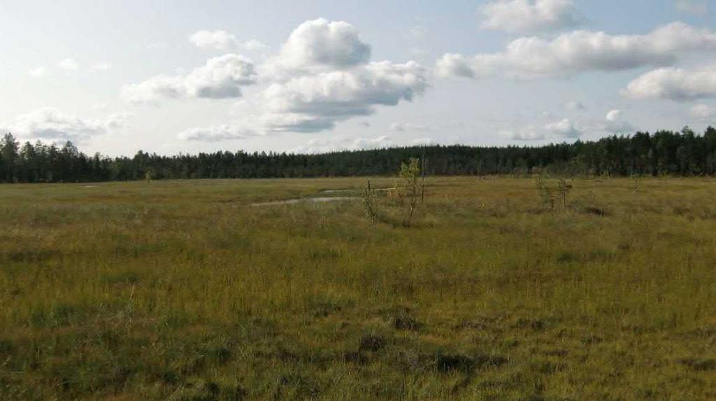 Figur 28 Orrmyran med öppet vatten i de centrala delarna Den drygt 2 km långa mossen består av genomsnittligt 2.2 m torv med botten på morän eller berg.