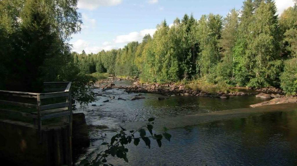 Figur 30 Sävaråns stränder mot norr i åkrök norr om Sävar Andra delen Sävarån och norrut: Efter passagen av Sävaråns dalgång går linjesträckningar öster om E4:an över partier med morän, berg eller