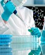 WHO Collaborating Centre for Research in Human Reproduction Karolinska