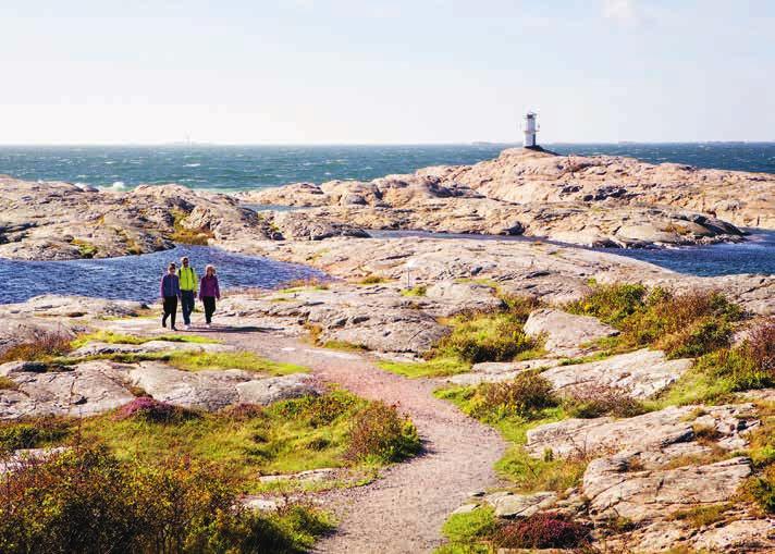 i Bohuslän. Besökare som vill uppleva fisket på nära håll har möjligheten att följa med ut på allt från vårens havsöringsfiske och sommarens makrillfiske till höstens spännande hummerfiske.