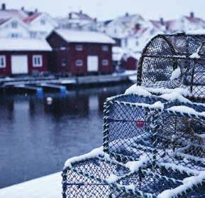 Som om havet, klipporna och skogarna mitt i sin vintervila i väntan på vårljuset ändå vill att vi ska se storslagenheten.