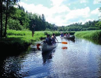 natur och