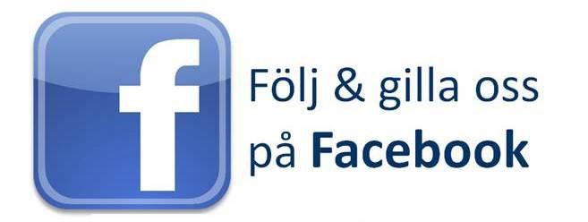 Till sist vill vi i