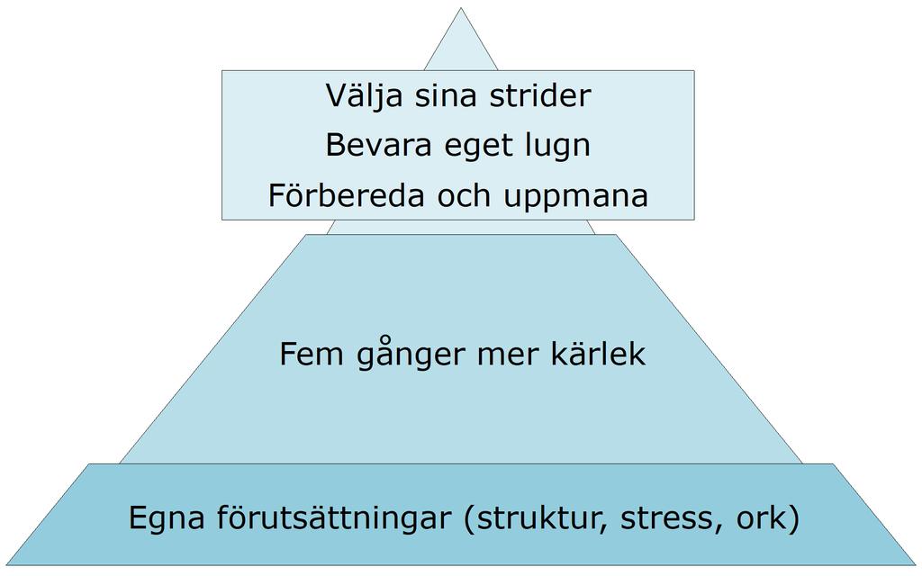 IPSA Improving Parenting Skills Adults with adhd Tatja