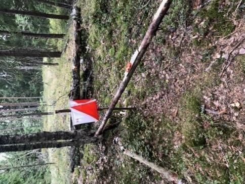 På förhand bokade Emit-hyrbrickor fås i Infon mot betalningskvitto eller genom att betala avgiften. I Infon kan man även hyra Emit-brickor på plats, mot betalning.