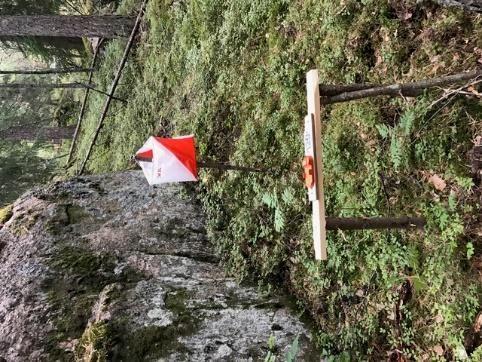 De sista justeringarna samt utskriften av kartan är gjorda 8/2018. Kartskalan i klasserna H/D13 och äldre är 1:10 000 / ekvidistans 5 m. För H/D12, RRoch TR-banorna är skalan 1:7500 / ekvidistans 5 m.