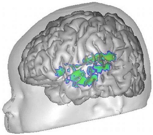 and unique to humans. Early linguistic experience performs two functions: 1. Allows infants to assimilate the words and grammar rules of their mother language. 2.