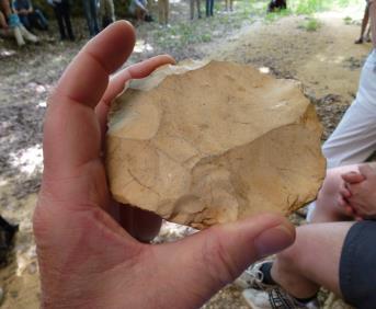 Survival of the fattest Hjärnans vikt i gram Fat babies were the key to evolution of the large human
