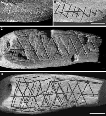 , Nature, 426, 774-5, 2003 Konstyttringar och abstrakt tänkande Konstyttringar och abstrakt tänkande Venus från