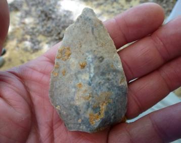 Fresh- and salt-water shorelines provided the food supply for evolving body fat and larger brains in human infants. Leonard et al.
