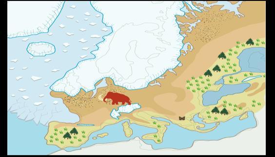 Hjärnan är anpassad till det sensoriska inflödet.