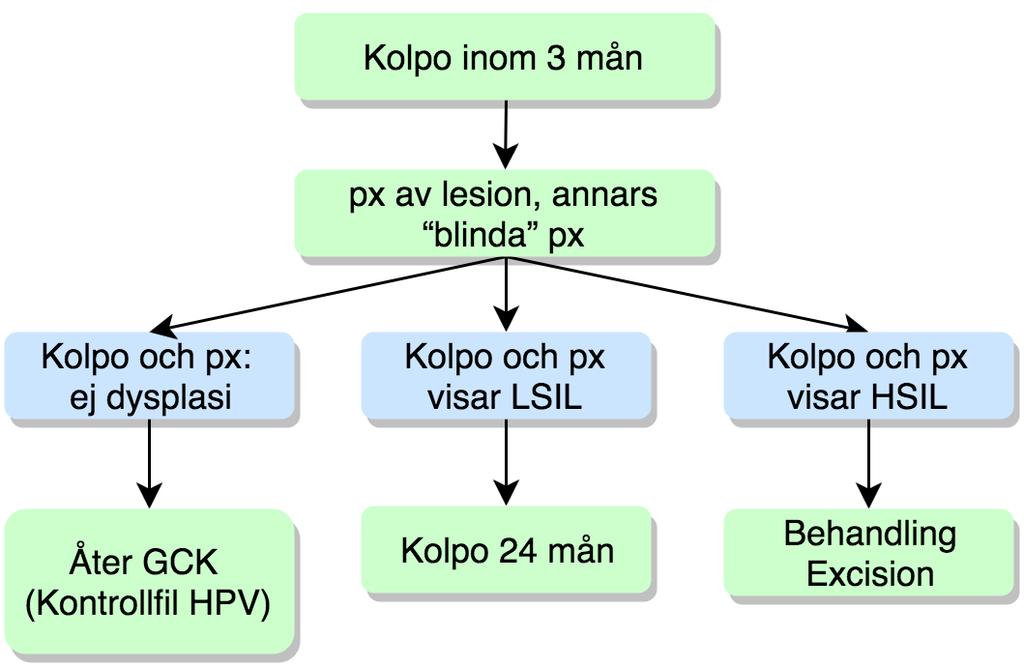 Rekommendation HPV-infektion som persisterat 3 år med normal eller avvikande cytologi bör utredas med kolposkopi inom 3 månader efter att HPV-positivt cellprov nr 2 är taget (GRADE +++) Provexcision