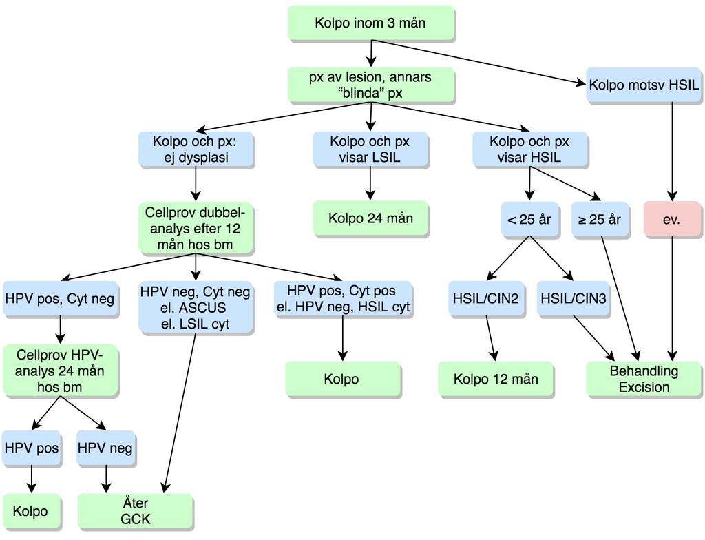 Rekommendation Kolposkopi utförs inom 3 månader från indexprov. HSIL/ASC-H ska alltid leda till PAD. Antingen tas px eller görs en excision.