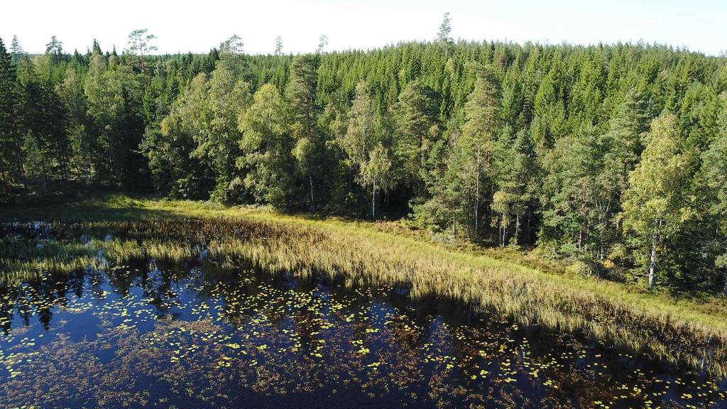 Även jakt på gris, rådjur, skogsfågel mm. Gräns i flera sjöar. Säljes även vardera skifte för sig. Pris: 9 800 000 kr eller högstbjudande.