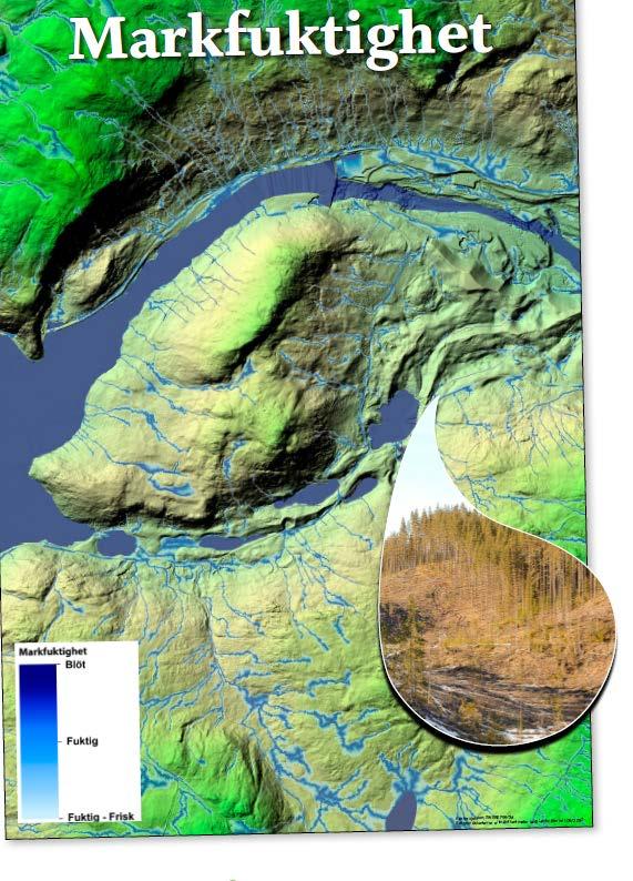 2014 Geodata om skog &