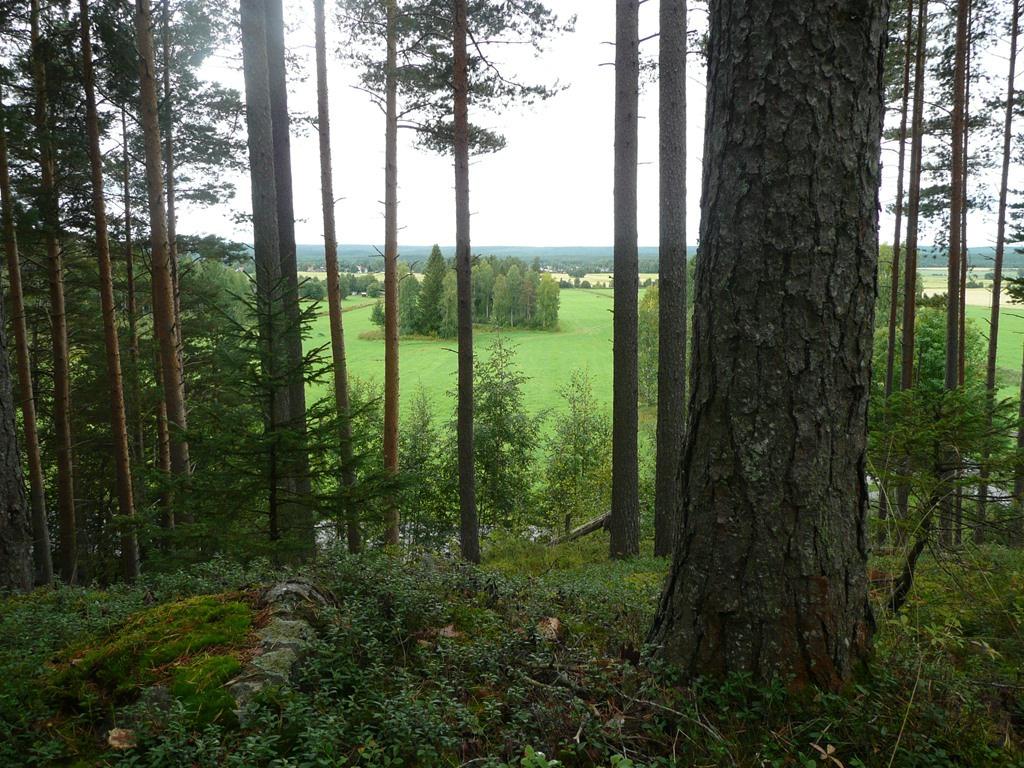 och läckert bäckravins område.