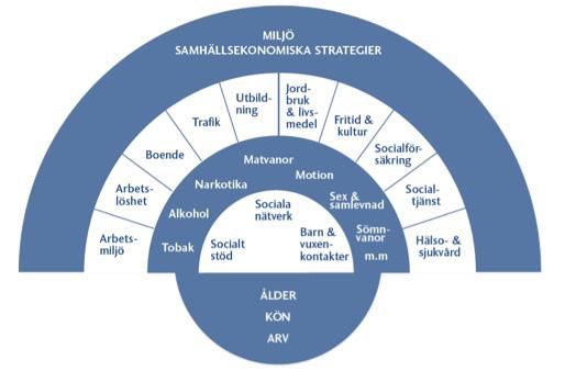 Bild: Hälsans bestämningsfaktorer. Bild efter Dahlgren och Whitehead, 1992 het att tillgodose sina behov.