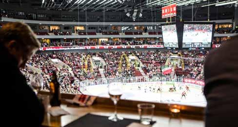 NÄTVERKET Är du guldpartner eller mer blir ditt företag medlem i Malmö Redhawks Nätverk.