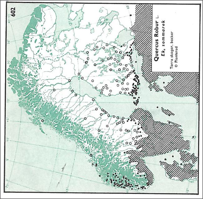 E. Hultén